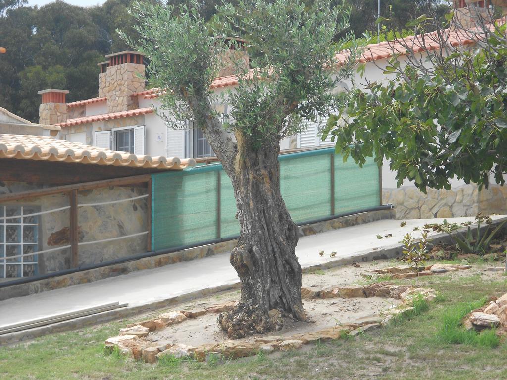Ferienhaus Monte - Local